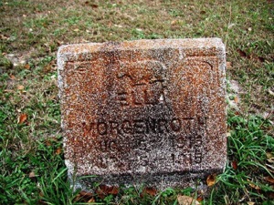 Ella Morgenroth